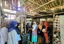 Unsoed Dorong Penguatan Agroindustri Jamur Tiram di Desa Winduaji