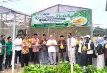 Unugha Cilacap Hadirkan Teknologi Greenhouse di Panen Perdana KWT Kasembadan