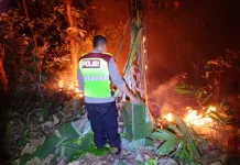Kebakaran Hanguskan 1,4 Hektare Hutan Jati di Kebumen