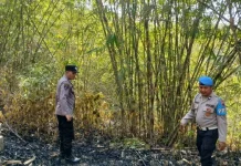 Lahan Bambu di Kebumen Terbakar