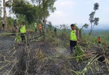 Polsek Mrebet Bersama Tim Gabungan Padamkan Karhutla di Sangkanayu
