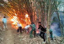 Lahan Seluas 15 Hektare di Sidareja Terbakar, BPBD, TNI-Polri dan Warga Padamkan Api