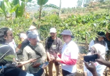 Kopi Dieng Tembus 3 Negara, Wisata Berbasis Indikasi Geografis Disiapkan