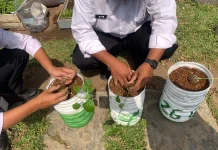 Dari Galon Bekas Jadi Kebun Cabai, Rutan Kelas IIB Banyumas Kembangkan Sistem Wick