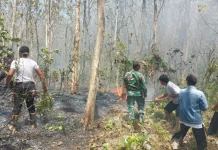 Lahan di Kawunganten Terbakar, Gotong Royong TNI dan Masyarakat Berhasil Padamkan