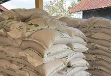 Harga Pangan Naik di Musim Kemarau, DKPP Banyumas Pastikan Stok Aman