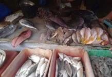 Konsumsi Ikan Masyarakat Banyumas Masih Separuh dari Target Nasional