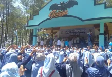 Himpaudi Purbalingga Gelar HUT ke-21 Wujudkan Kesetaraan Guru PAUD