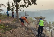 Kebakaran Lahan Perbukitan di Sruweng, 1,5 Hektare Terbakar