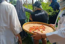 Stigma dan Ketidakpastian Jadi Kendala Regenerasi Petani Banyumas