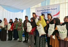 Bulog Pastikan Stok Beras Nasional Aman, Cadangan Capai 4,8 Juta Ton