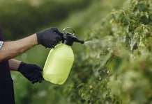 Eco Enzyme dan Pupuk Organik Cair, Cara Mudah Wujudkan Rumah Tangga Zero Waste