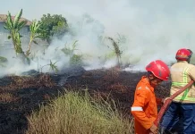 Musim Kemarau, Damkar Kota Tegal Ingatkan Warga Waspadai Pemicu Kebakaran
