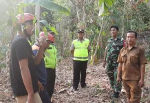 Perbukitan Kebumen Terbakar, 7 Hektar Hangus
