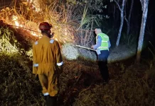 Dua Kebakaran Lahan Terjadi di Kebumen dalam Satu Hari