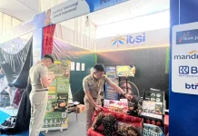 Inovasi Jamur Merang dari Limbah Sawit Curi Perhatian di KMI Expo