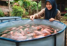 Generasi Muda Banyumas Didorong Terjun ke Budidaya Ikan