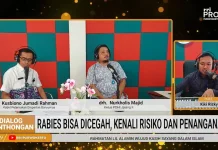 Cegah Rabies dengan Mengenali Risiko dan Penanganan yang Tepat