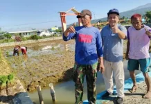 Unsoed Dorong Pengembangan Mina Padi di Panembangan
