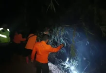 Polsek Bumijawa Tangani Kebakaran Lahan di Sokasari