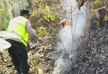 Dua Hektare Lahan Hutan di Buayan Terbakar