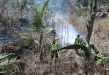 Kebakaran Lahan Melanda Dua Kecamatan di Kebumen
