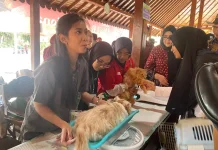 Vaksinasi Hewan Gratis Jadi Upaya Cegah Rabies di Banyumas