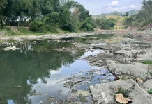 Sungai Mengering, Petani Desa Kracak Andalkan Sumur untuk Irigasi