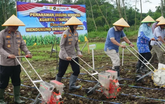 Polres Purbalingga Tanam Jagung Serentak Dukung Ketahanan Pangan