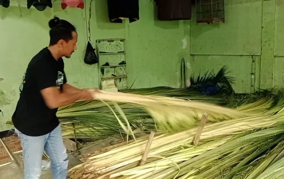 Lebaran 2026: Omzet Agen Janur di Banyumas Melejit 300 Persen!