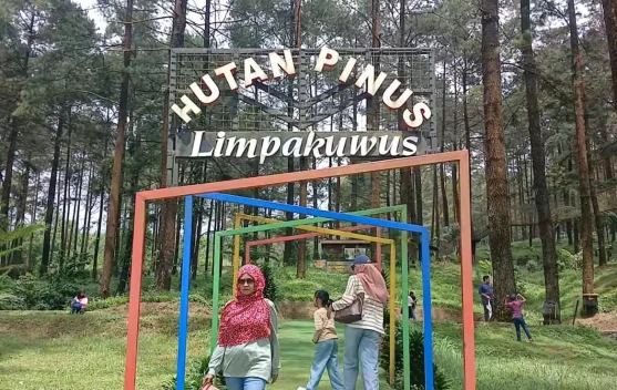 Pengelola Wisata Hutan Pinus Limpakuwus Siapkan Antisipasi Kecelakaan Pengunju