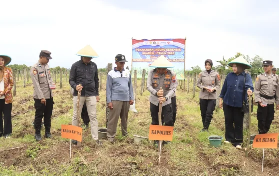 Polres Tegal Dukung Swasembada Pangan, Kapolres Pimpin Penanaman Jagung Serentak
