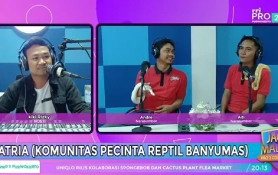 Komunitas Satria Banyumas Edukasi Masyarakat Soal Reptil dan Pelestariannya