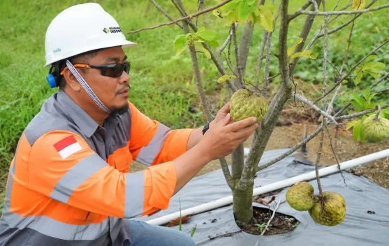 Solusi Bangun Indonesia Raih GMP Terbaik Jawa Tengah