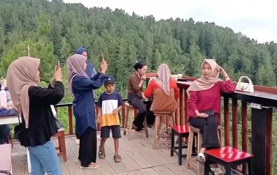 Ngopi Ditengah Hutan Pinus, Kawungan Coffee Jadi Destinasi Favorit Wisatawan