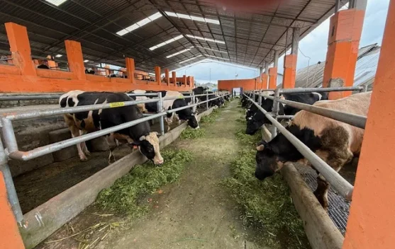 BBPTUHPT Baturraden Siap Jadi Pusat Unggulan Peternakan Nasional