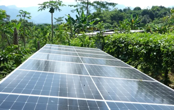 Panel Surya Dukung Operasional Agroeduwisata Artansi Candra Kahuripan
