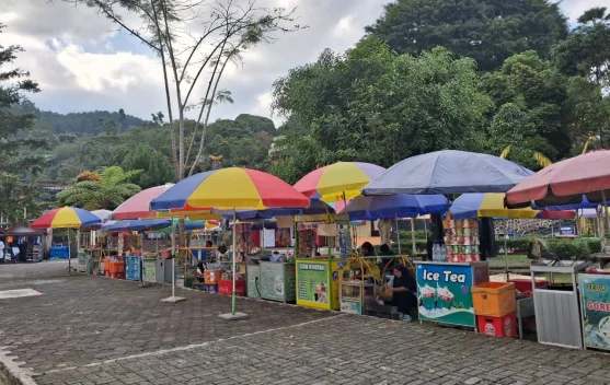 Libur Sekolah Dongkrak Pendapatan UMKM di Lokawisata Baturraden