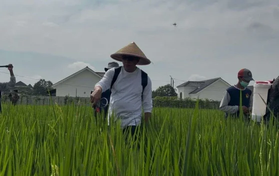 Pertanian Modern Jadi Fokus, Banyumas Siap Dukung Peningkatan Produksi