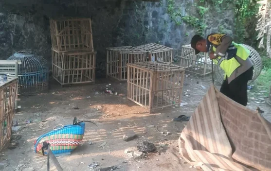 Polsek Margasari Tindak Lanjuti Laporan Warga, Bongkar Arena Judi Sabung Ayam