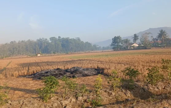 Kemarau Kering di Banyumas Raya Picu Risiko ISPA, Masyarakat Diminta Waspadai Debu