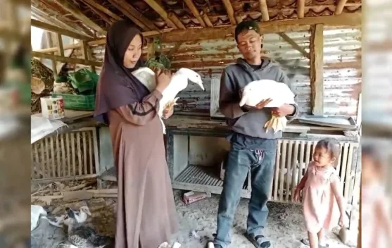 Potensi Manis Entok Jumbo: Peluang Bisnis Rumahan yang Makin Diminati