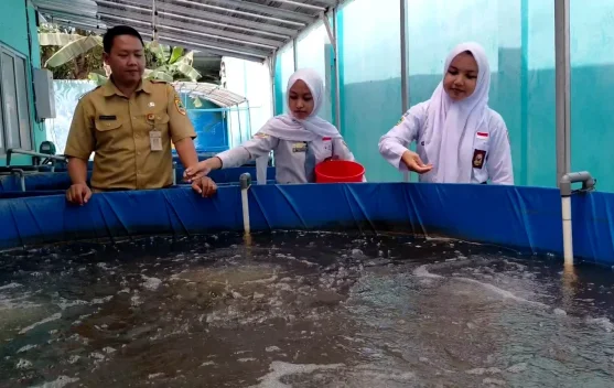 Musim Kemarau, Bioflok Jadi Solusi Budidaya Ikan Hemat Air