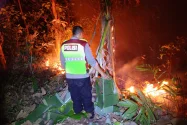 Kebakaran Hanguskan 1,4 Hektare Hutan Jati di Kebumen