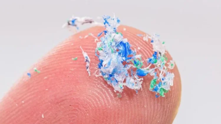 Hasil Kajian Ecoton, Temukan Mikroplastik pada Ibu Hamil