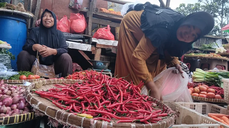 BPS Laporkan Kenaikan Harga Cabai Rawit