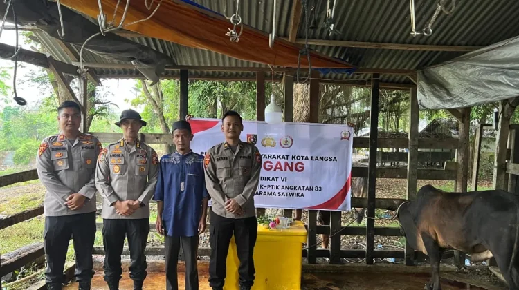 Tradisi Meugang di Aceh Tetap Terlaksana, STIK Salurkan 70 Sapi