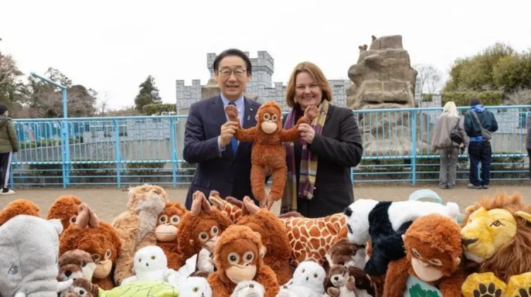 IKEA Jepang Donasikan Boneka Orangutan ke Kebun Binatang Ishikawa