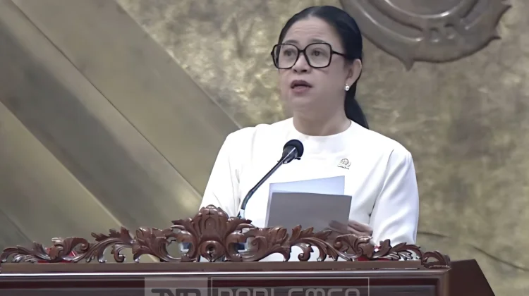 Puan Dorong Peran Strategis Indonesia untuk Kemerdekaan Palestina