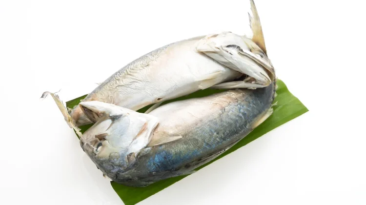 KKP: Harga Ikan Relatif Stabil di Delapan Kota